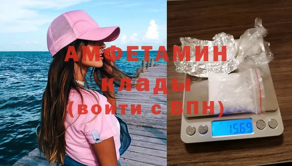 ПСИЛОЦИБИНОВЫЕ ГРИБЫ Алексин