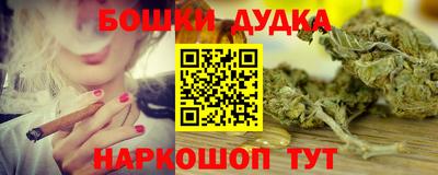 индика Лесосибирск