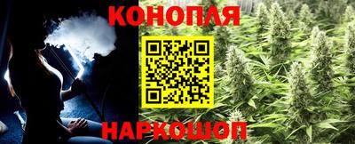 индика Лесосибирск