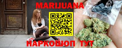 индика Лесосибирск