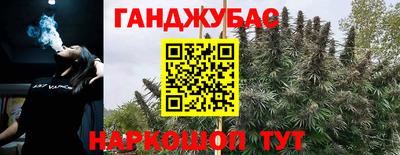 индика Лесосибирск