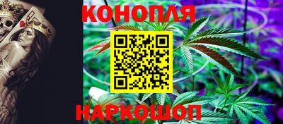 индика Лесосибирск