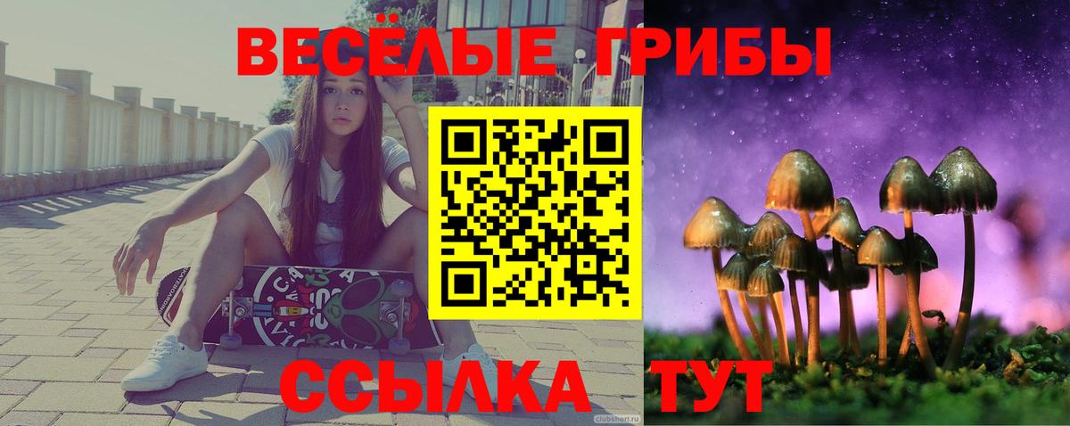 Псилоцибиновые грибы прущие грибы Искитим