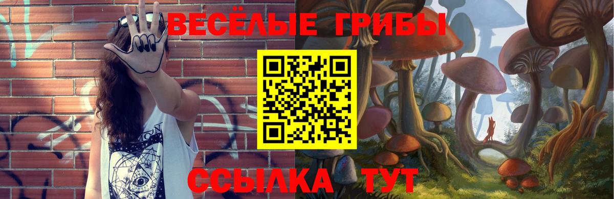 Псилоцибиновые грибы Psilocybe  Псилоцибиновые грибы GOLDEN TEACHER  Искитим  Вход с VPN 